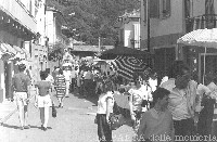 Ingrandisci